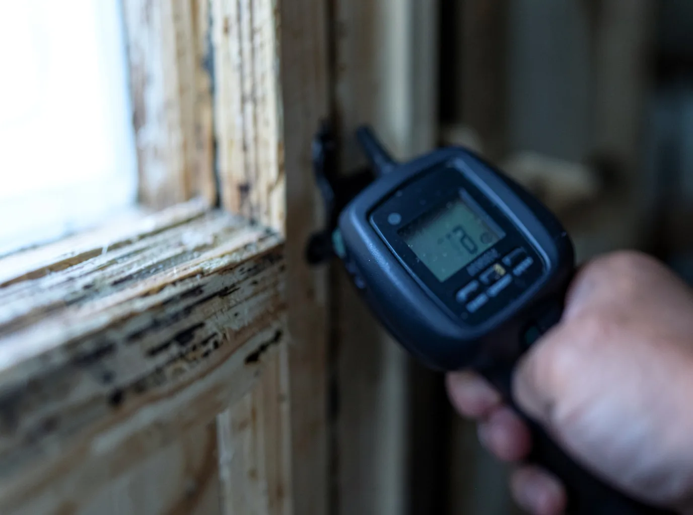 Moisture Inspection And Documentation in Lebanon, TN